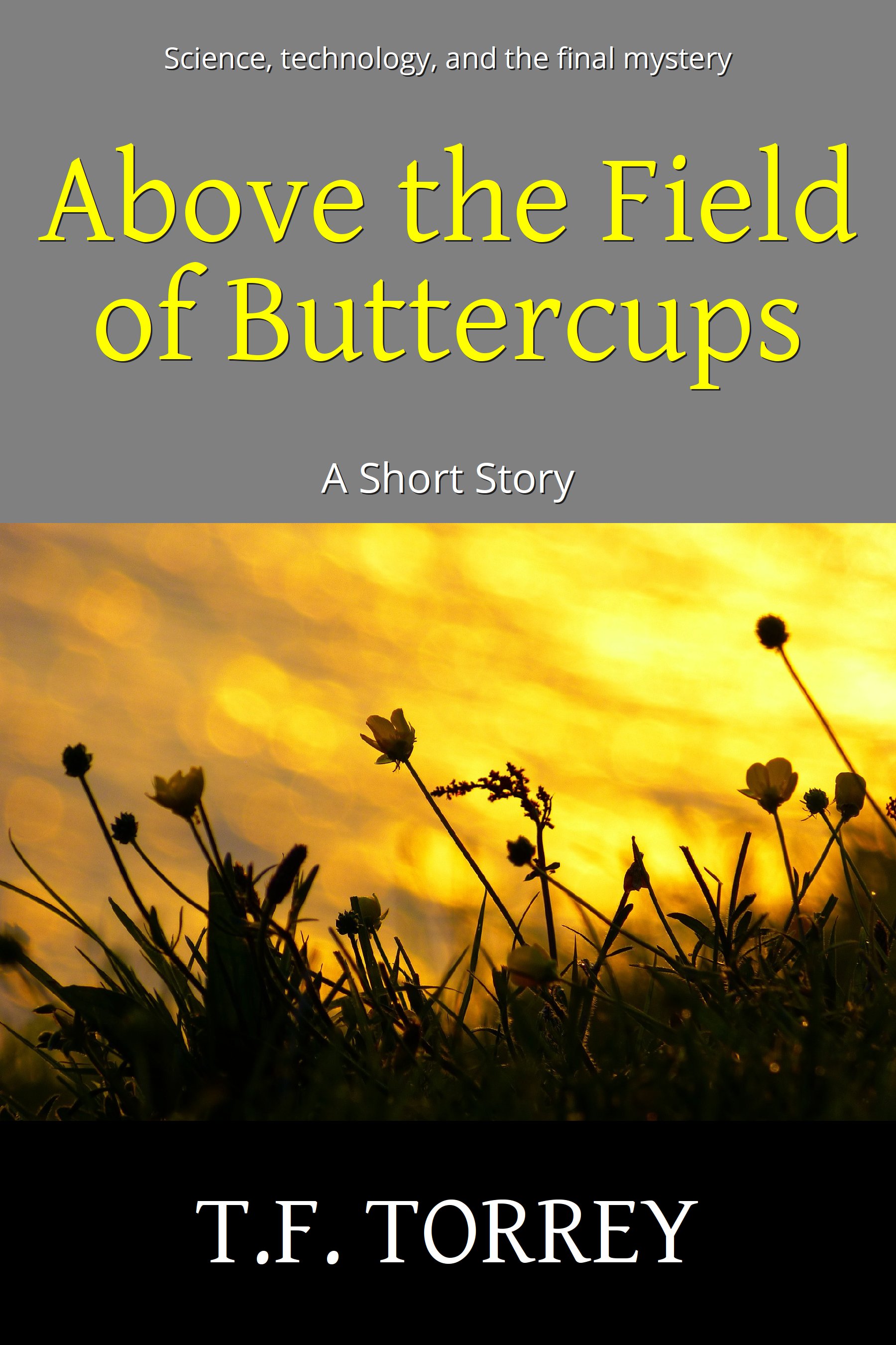 Cover of Above The Field of Buttercups, a short story by T.F. Torrey