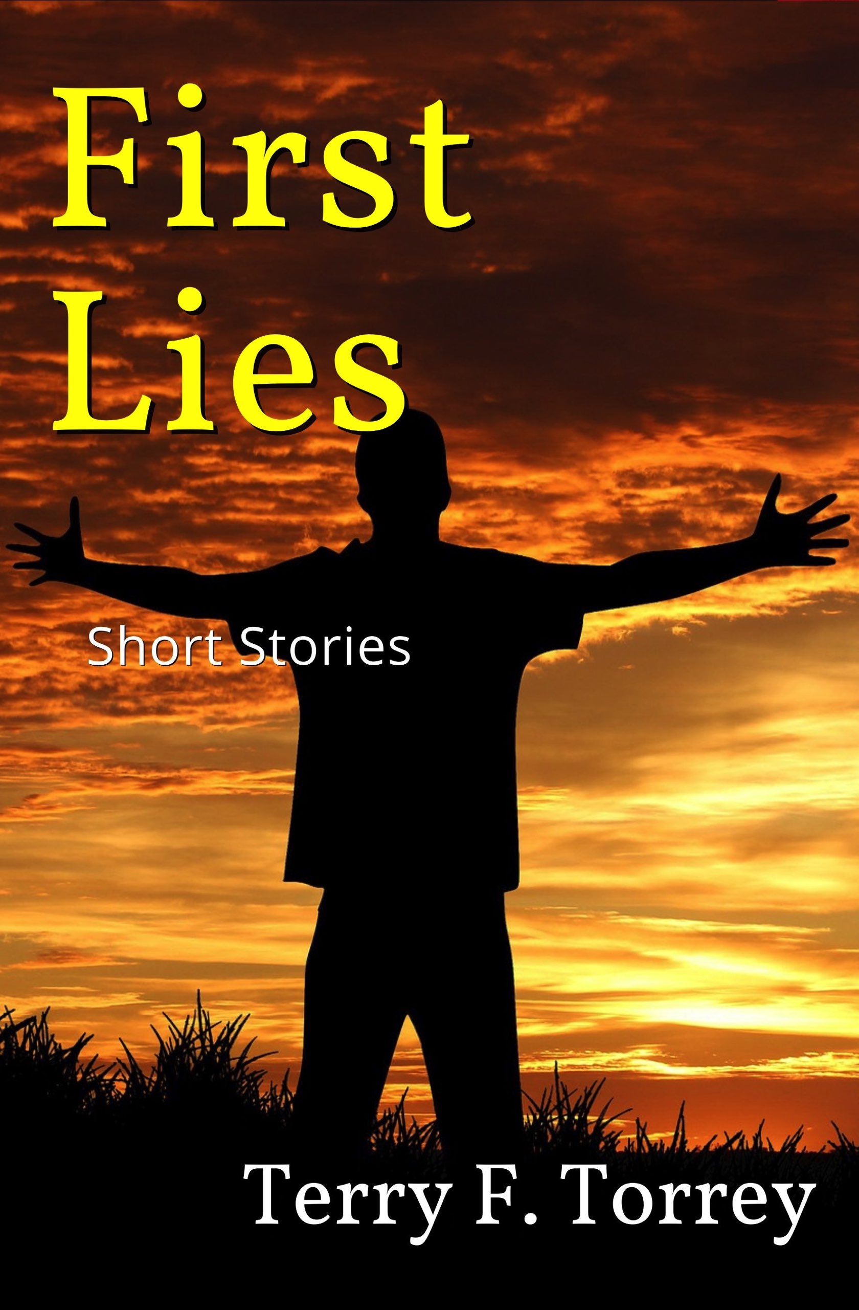 Cover of First Lies: Short Stories by Terry F. Torrey